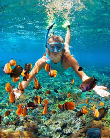 Snorkeling and Kayaking